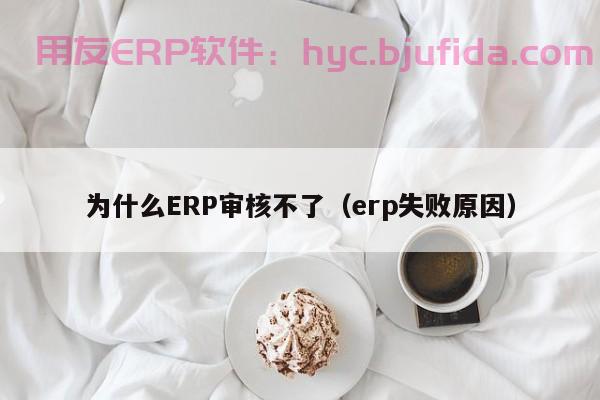 双创ERP系统管理 企业资源规划需求分析