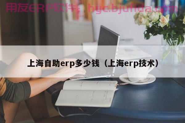 erp后期优化面临的调整需求 解决方法