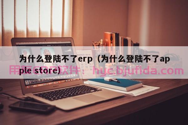 12个观点，深入分析erp招标评分标准的重要性