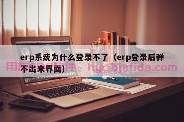 2017年erp市场分析 数据挖掘技术解决方案