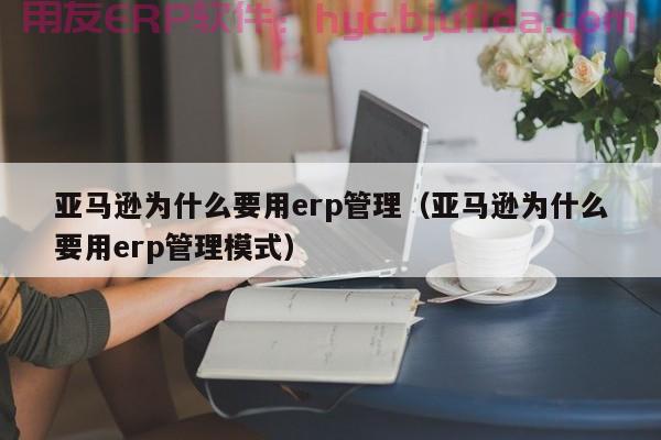 市场ERP软件市场渠道选择最新分析报告