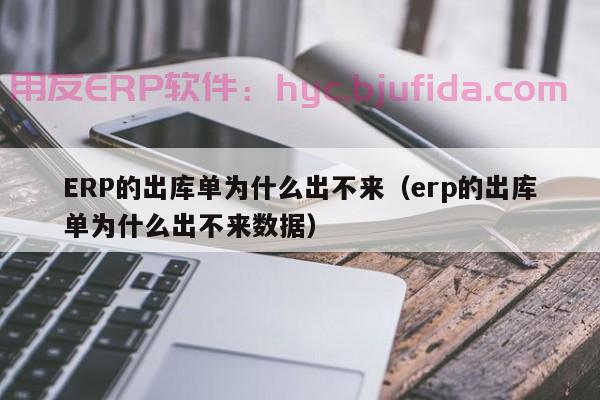 百胜ERP导出报错：高效排查方法分享