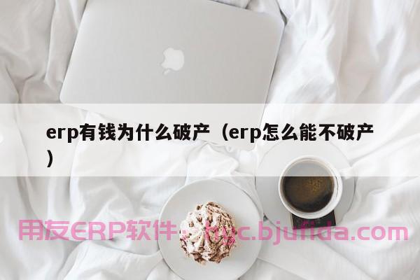 主妇请客 ERP使用步骤