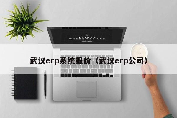 武汉erp系统报价（武汉erp公司）