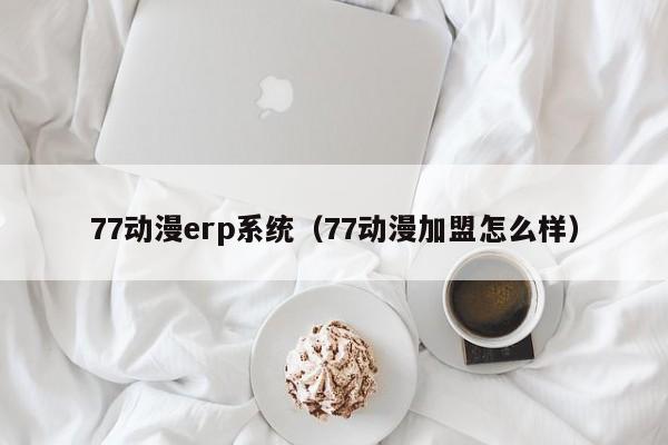 77动漫erp系统（77动漫加盟怎么样）