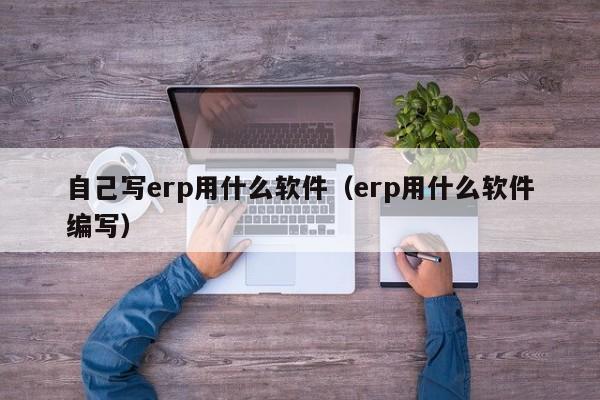 自己写erp用什么软件（erp用什么软件编写）