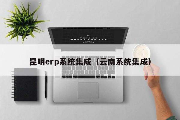 昆明erp系统集成（云南系统集成）