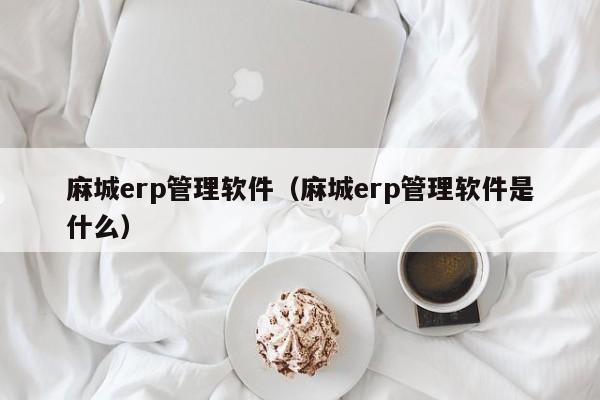 麻城erp管理软件（麻城erp管理软件是什么）