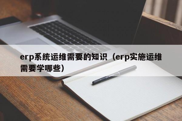 erp系统运维需要的知识（erp实施运维需要学哪些）