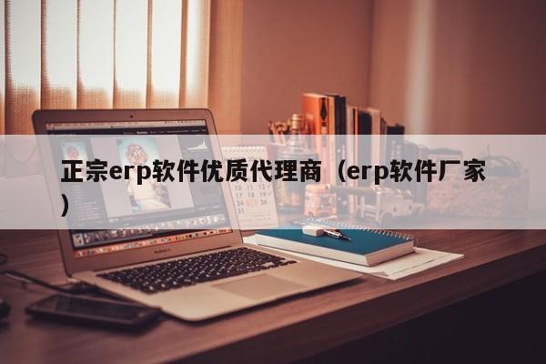 正宗erp软件优质代理商（erp软件厂家）