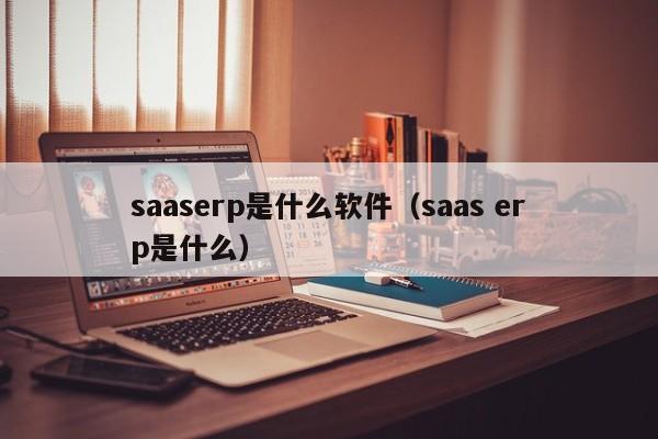 saaserp是什么软件（saas erp是什么）