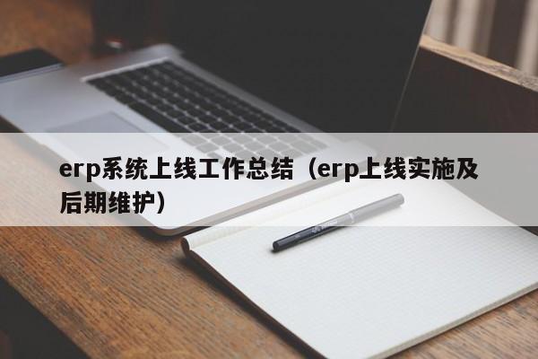 erp系统上线工作总结（erp上线实施及后期维护）