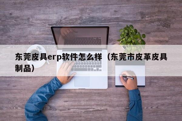 东莞皮具erp软件怎么样（东莞市皮革皮具制品）