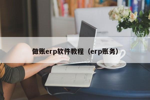 做账erp软件教程（erp账务）