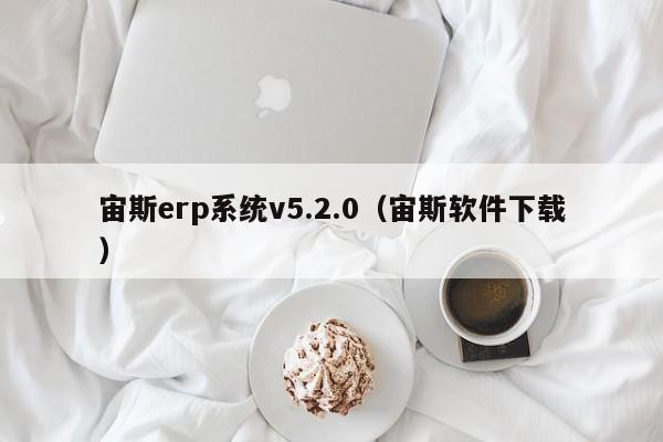 宙斯erp系统v5.2.0（宙斯软件下载）