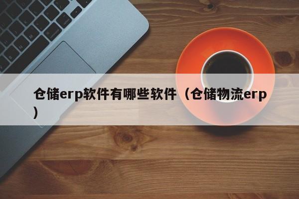 仓储erp软件有哪些软件（仓储物流erp）