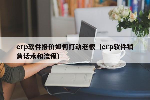 erp软件报价如何打动老板（erp软件销售话术和流程）