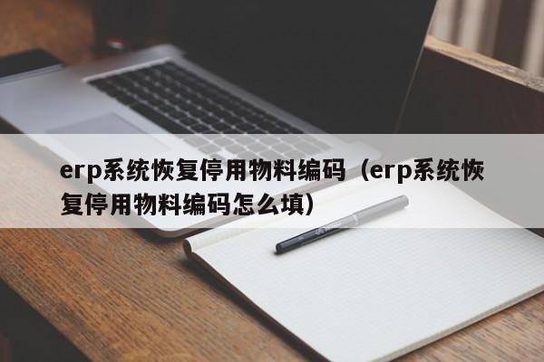 erp系统恢复停用物料编码（erp系统恢复停用物料编码怎么填）