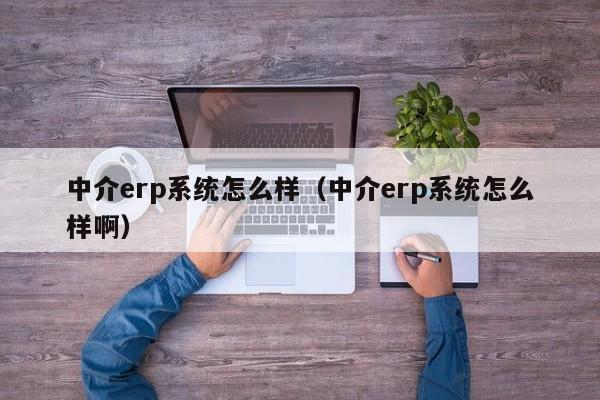 中介erp系统怎么样（中介erp系统怎么样啊）