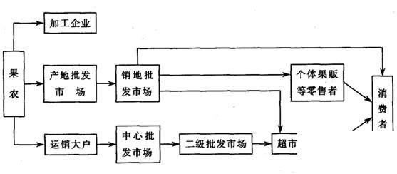 生鲜进销存配送系统怎么选？